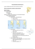 MSK2 theorie bundel