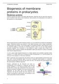 Biogenesis of membrane proteins in prokaryotes