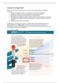 Samenvatting anatomie, fysiologie en pathologie: Bloed
