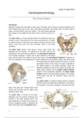 8. Urinary System