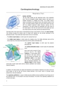 4. Respiratory Tract