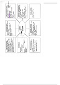 Crohns Concept Map