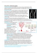 HCO2, hfst 2: elektrische signalen