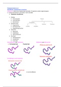 Polymeerchemie samenvating