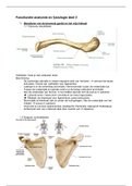 Samenvatting functionele anatomie en fysiologie 2