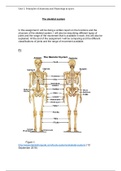 Principles of anatomy and Physiology in sport 