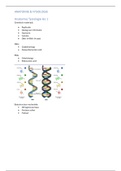 Anatomie samenvatting blok 2 ( BML Medische Diagnostiek)