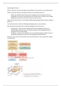 Neurobiologie deel 2 HC3