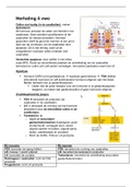 Nectar 5 vwo samenvatting H13: Hormonen