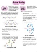 Biochemistry Protein Structure Notes