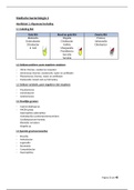 Samenvatting: Medische bacteriologie 2