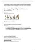 Levenslooppsychologie (pedagogiek)