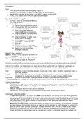 Samenvatting project 1 blok 4.1 van de master Klinische kinder- en jeugdpsychologie