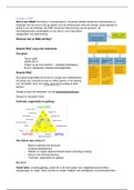 Aantekeningen RI&E voor blok 1 van integraal veiligheidsmanagement