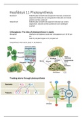 Functionele biologie 