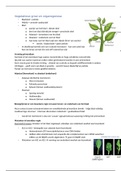 Toets 2 Plantenfysiologie