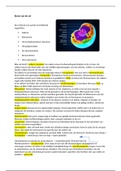 H3 Bouw van een cel anatomie