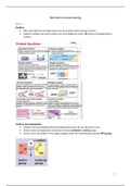 Samenvatting Biochemie (2019) met oefenvragen   antwoorden huiswerkopgaven