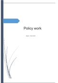 Verslag Policy work Saxion leerjaar 2 