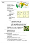 Plantkunde: bloem