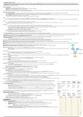 CHEAT SHEET- EXAM 2 (FIN 321)