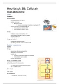 Anatomie en pathologie: Hoofdstuk 3B: Cellulair metabolisme