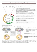 Lecture Notes - Tumor Immunology - week 2