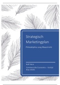 Strategisch Marketingplan - Case: Philadelphia Zorg Maastricht