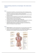 Samenvatting het endocriene stelsel module 3 leerjaar 1