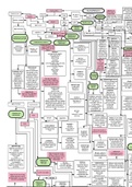 gram positive flow chart