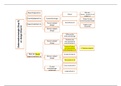 Schema onderzoeksstrategieën en onderzoeksdesigns (POM24a)