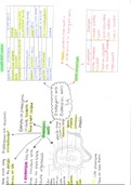 2.6 Prokaryotic and Eukayotic cells