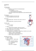 Samenvatting anatomie thema 5