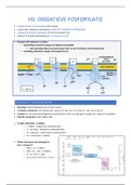 H5 oxidatieve fosforylatie