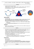 Samenvatting Engels grammatica en taalbeheersing