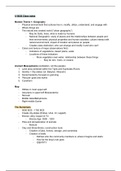 Patterns of World History Vol. 1 : Chapter 2 Class Notes