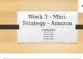 STR581 Week 3 Mini Strategy – Amazon