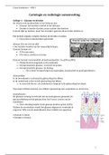 Cariologie en Radiologie I - MZK-1
