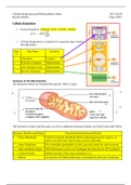 SBI4U Grade 12 Biology Ontario Curriculum Photosynthesis and Cellular Respiration System Notes