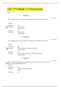 CIS 175 Week 11 Final Exam_Already Graded A