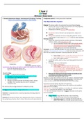 NURSING 306 OB Exam 2 Study Guide OB Hartman GOLD, A+ Guide - West Coast University.