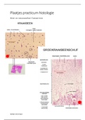 Te kennen plaatjes histologie practicum