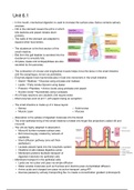 IB Biology Unit 6- Human Physiology