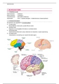 Samenvatting Neurokinesitherapie 1