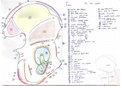 PACES schémas UE5 Pr.Demondion