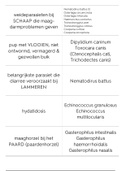 Parasitologie flashcards