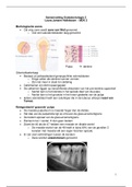 Endodontologie 2