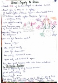 Blood supply of Brain...By Dr Najeeb