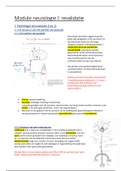 Samenvatting "Module Neurologie I"