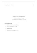 NR 103 Transition to the Nursing Profession In Class Assignment: CEAP Assessment Reflection: My Mirror (Graded A).